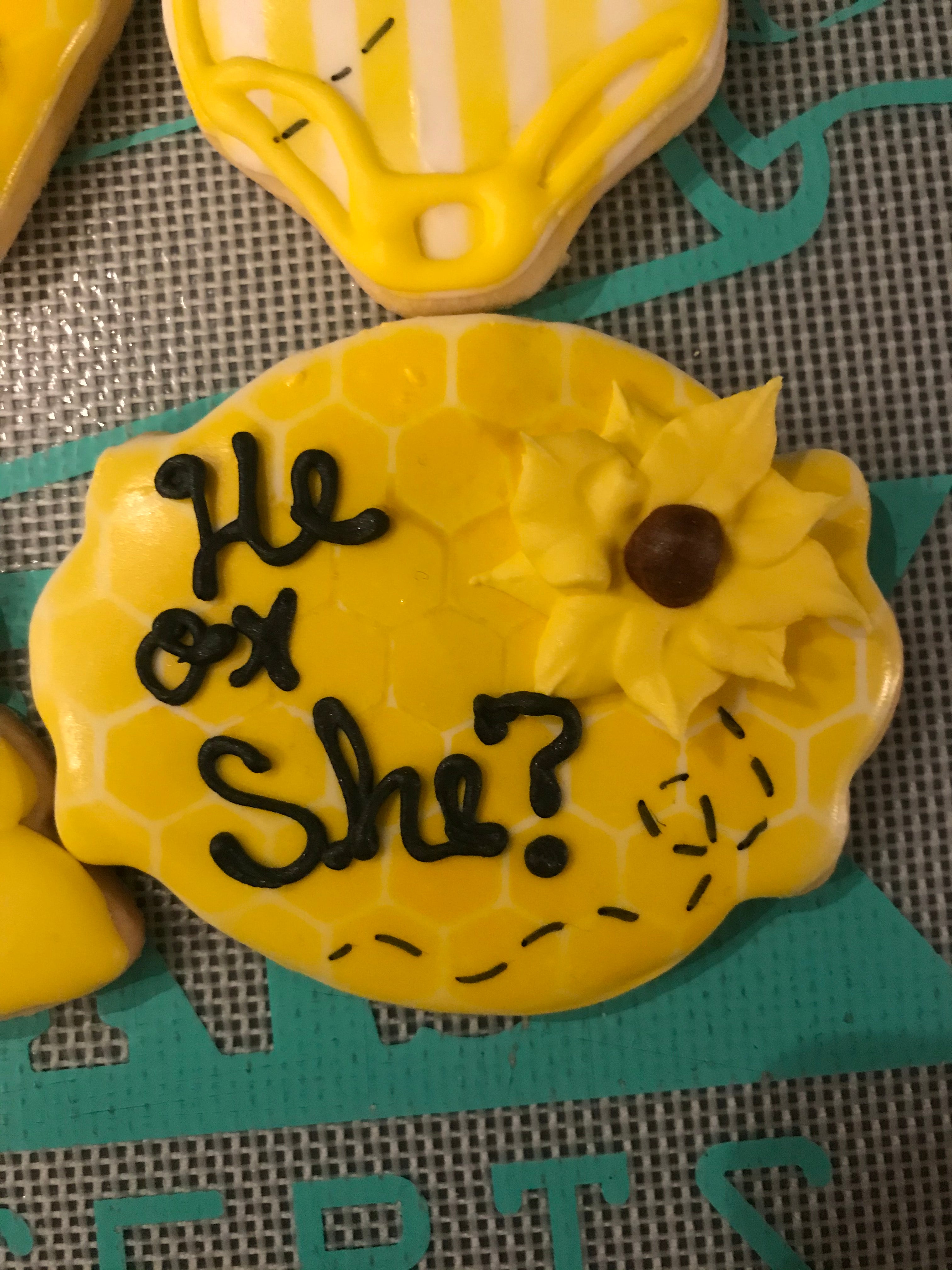 Bumble Bee Shower Cookies He or She
